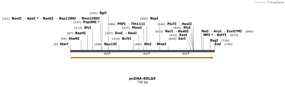 33521_map