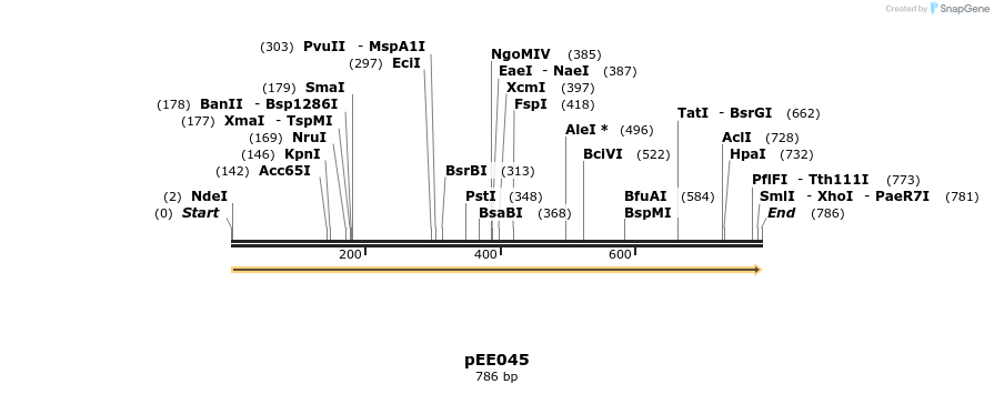 342659_map