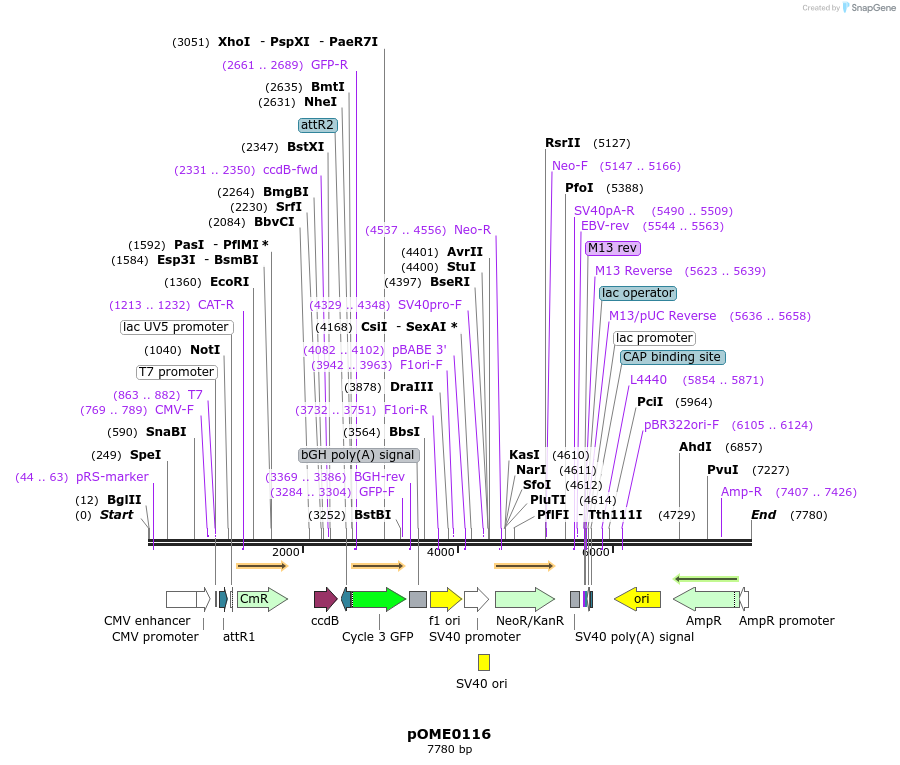 346446_map