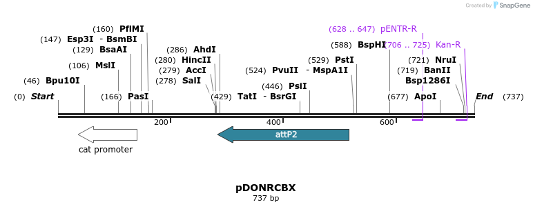 35097_map
