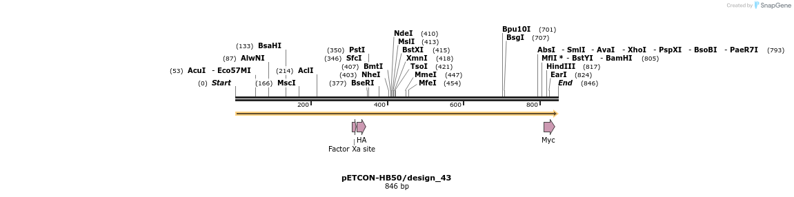 35444_map