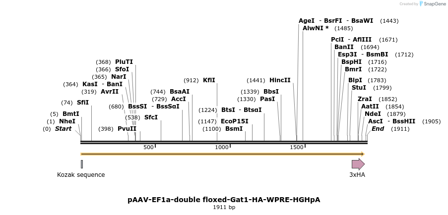 358150_map
