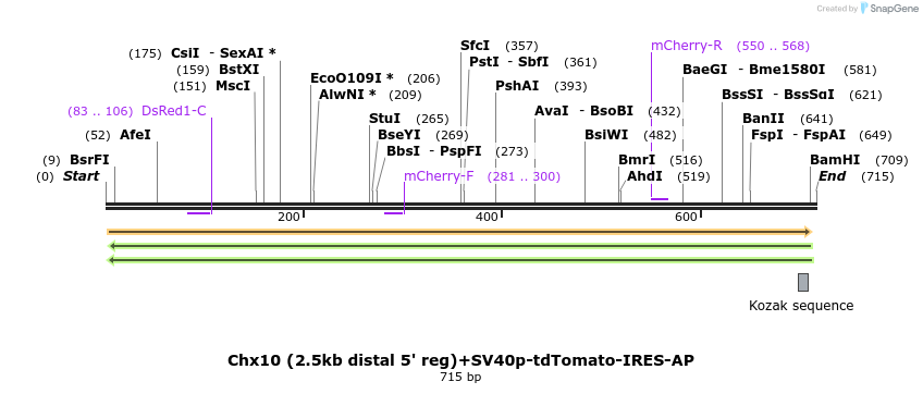 36194_map