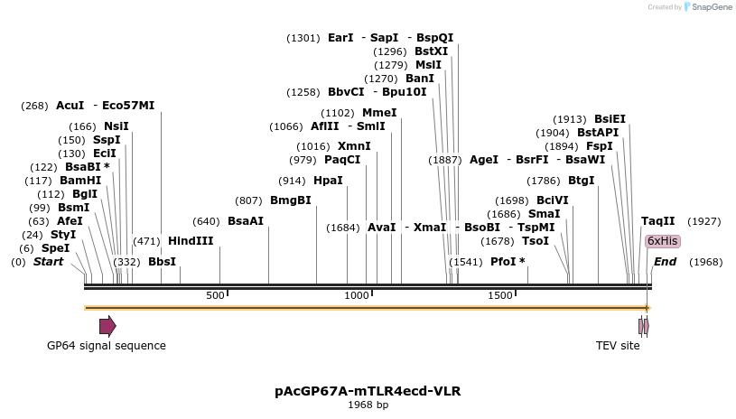 364420_map