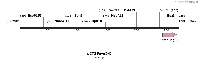 364739_map