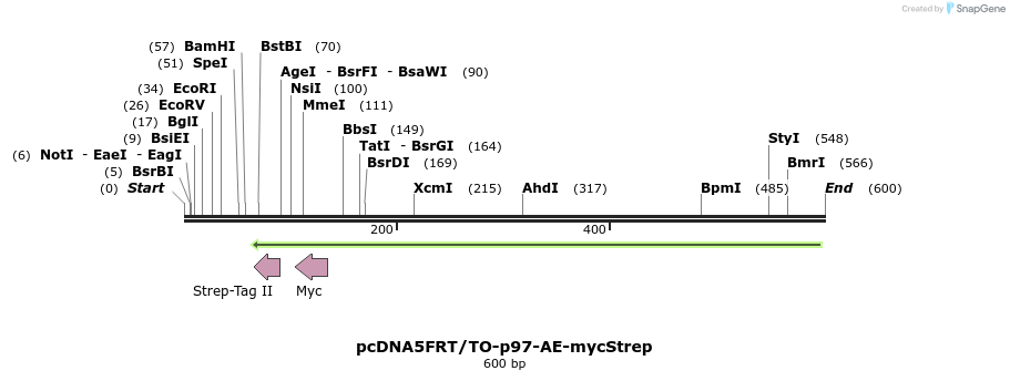 36776_map