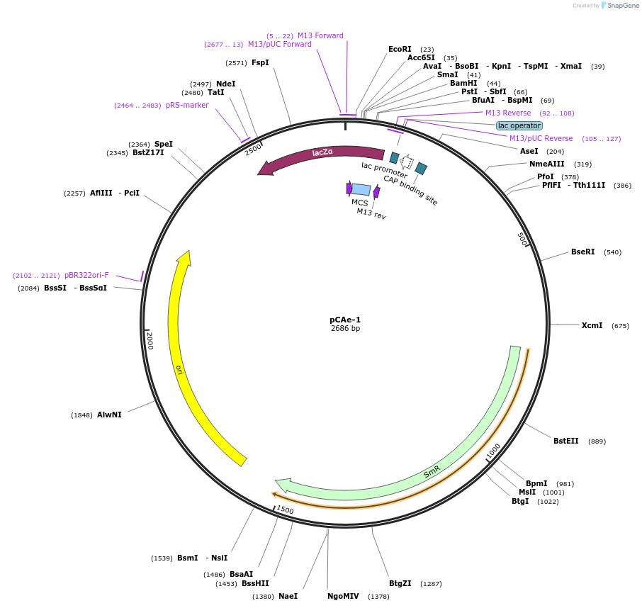 368758_map