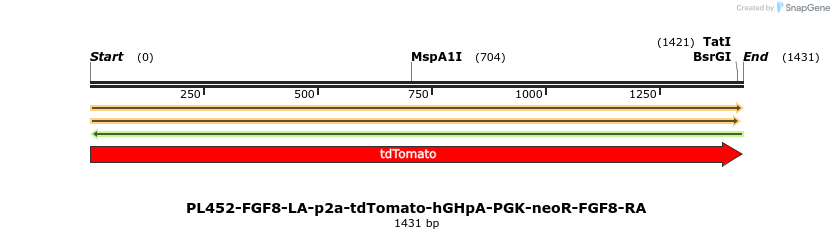 371563_map