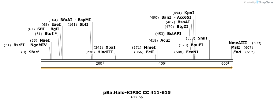 375772_map