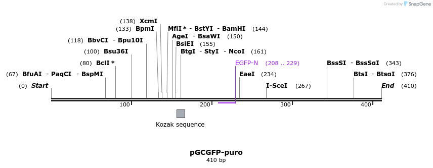 37790_map