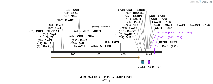 38214_map