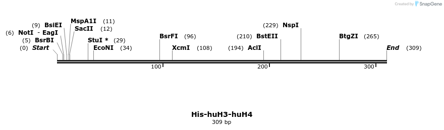 382485_map