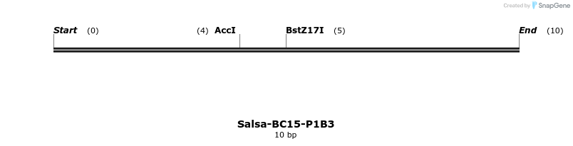 393729_map
