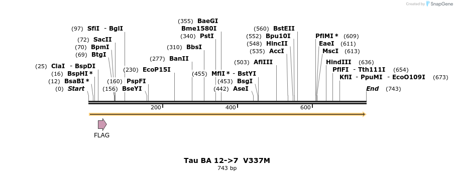 394389_map