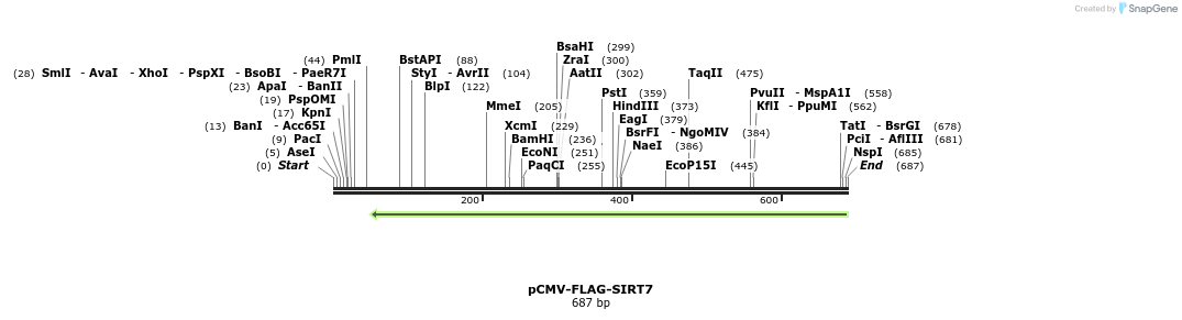 39859_map