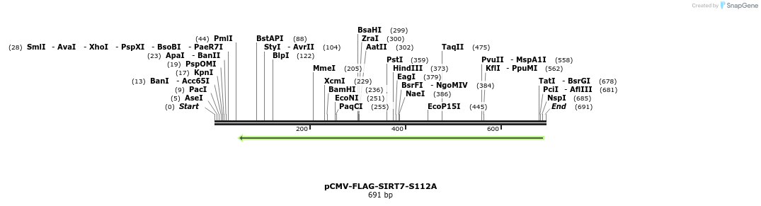 39862_map