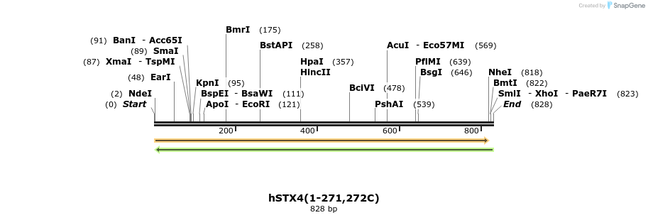 400973_map