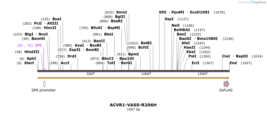 402703_map