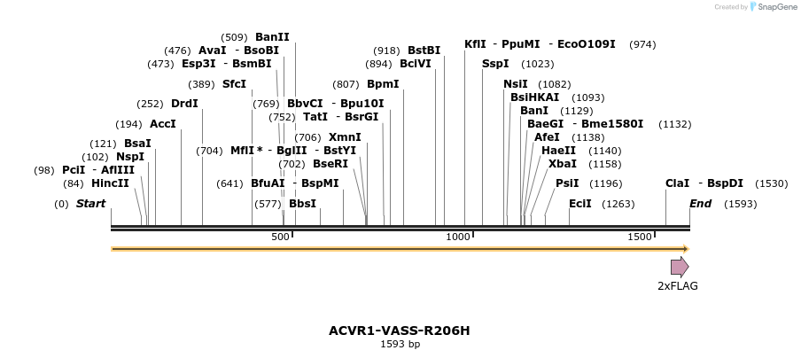 402704_map