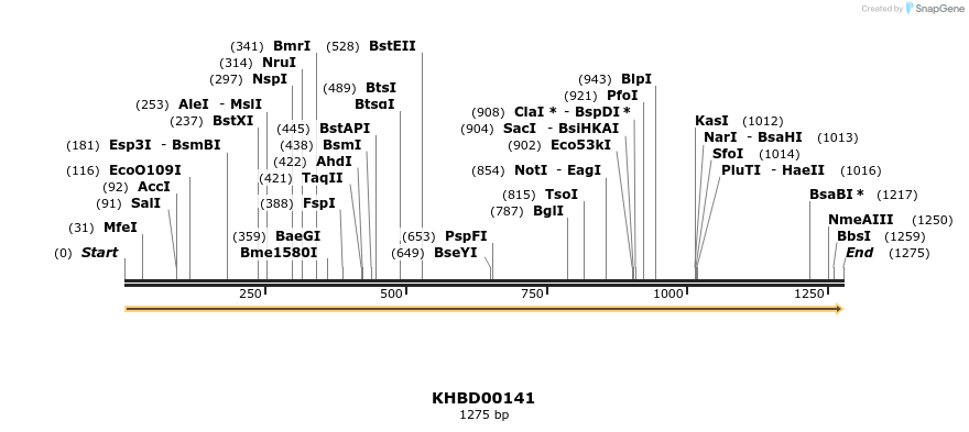 40862_map