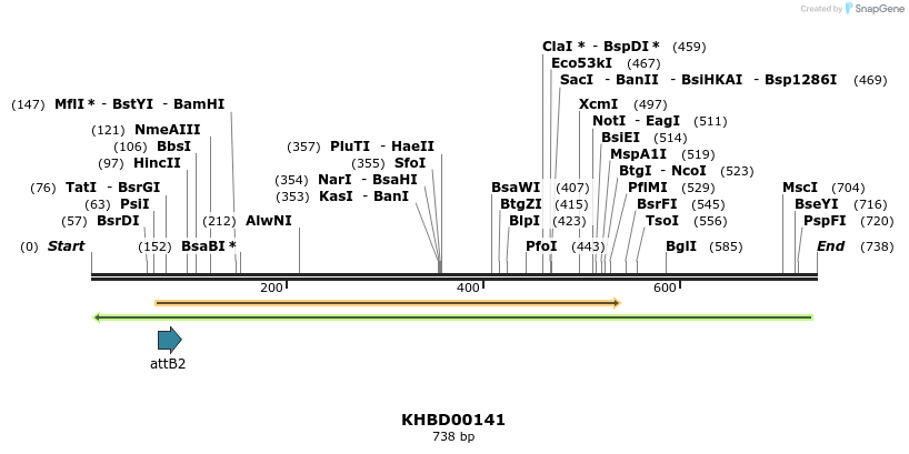 41961_map