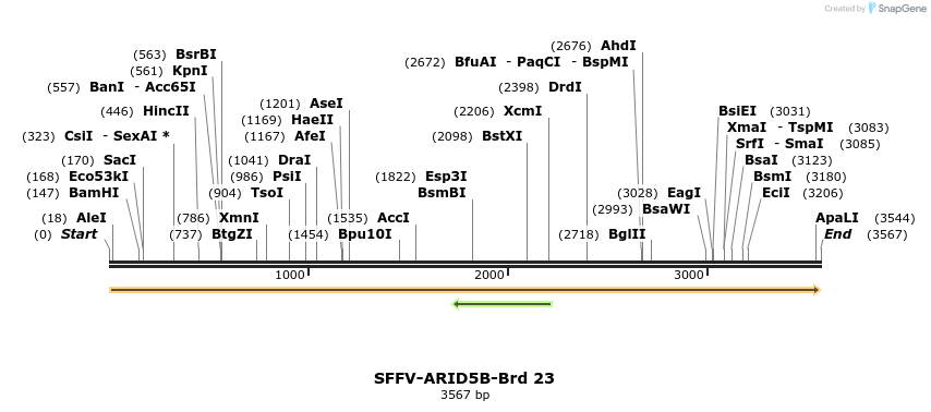 427498_map
