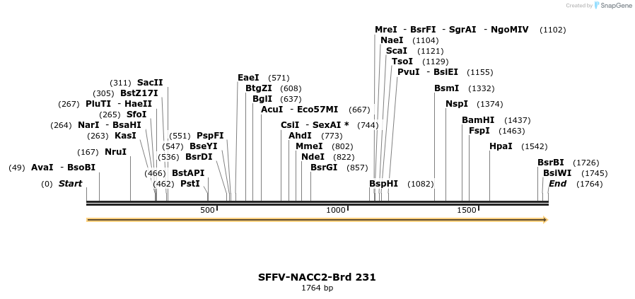 428002_map