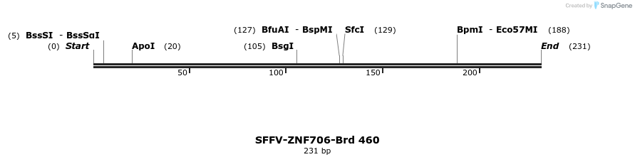428575_map