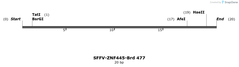 428612_map