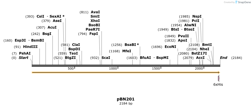 429057_map