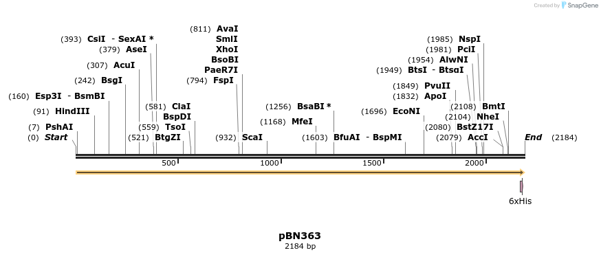 429059_map