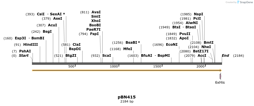 429294_map