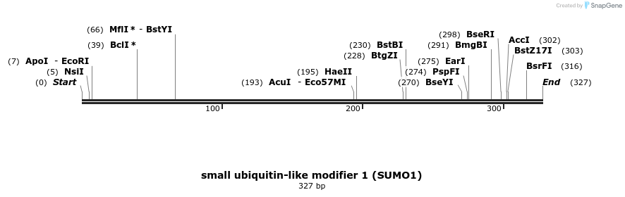 433072_map