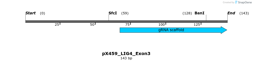 441605_map