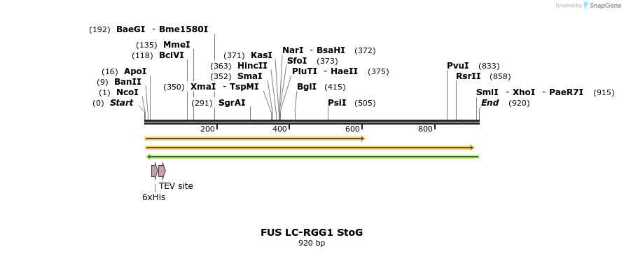 444503_map