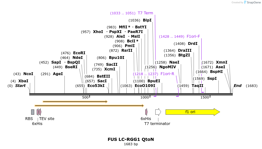 444712_map