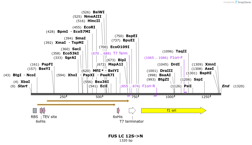 444724_map