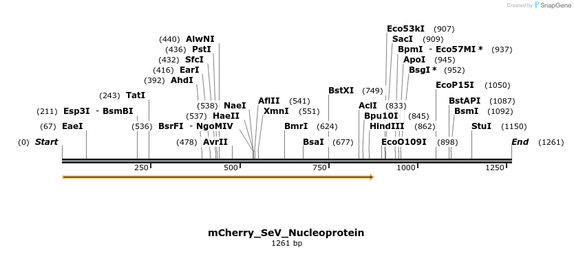 449809_map