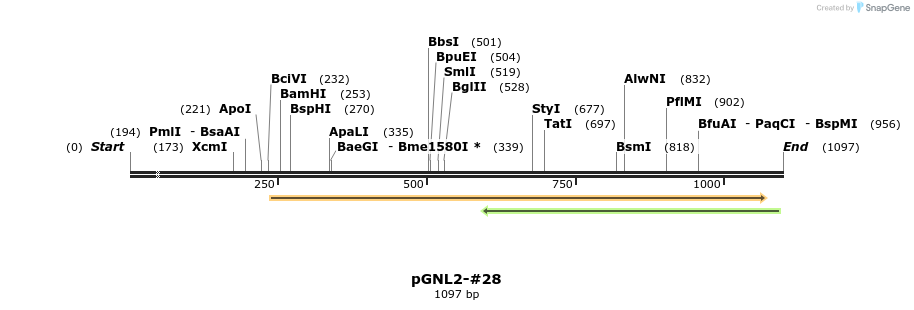 457843_map