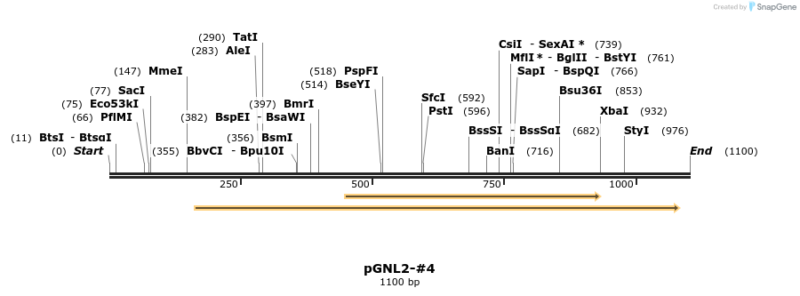 457847_map