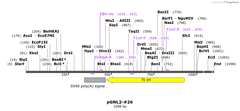 457850_map