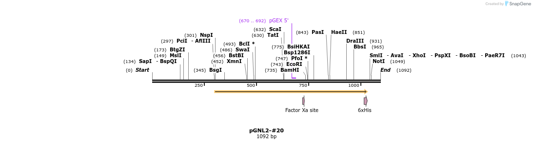 457856_map
