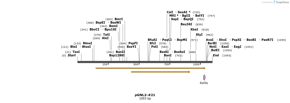 457858_map