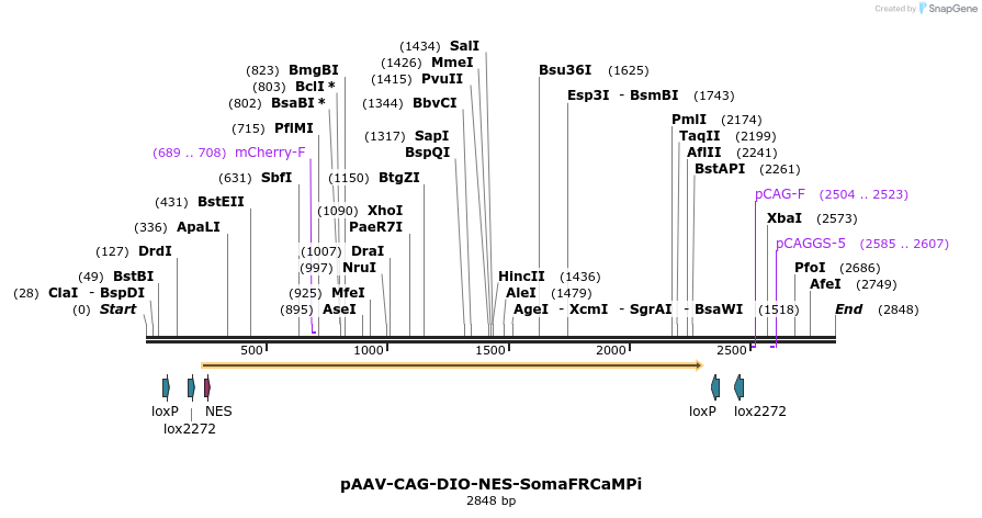 457913_map