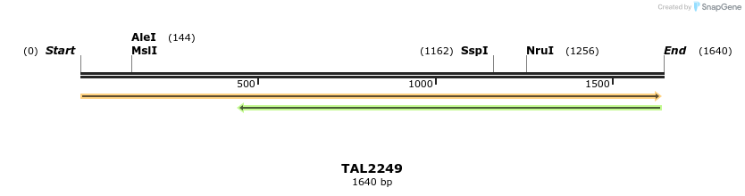 45887_map