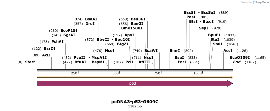460491_map