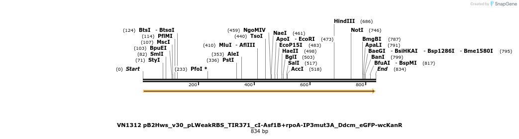 462569_map