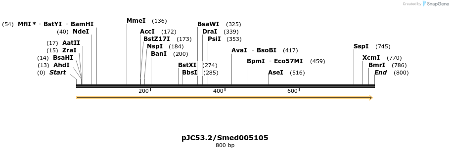 46264_map