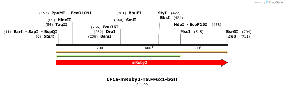463170_map