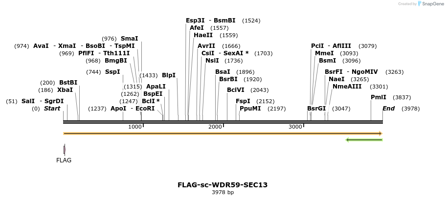 466423_map